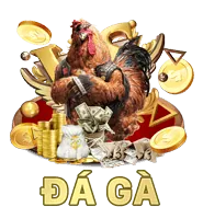 Hỗ trợ qua Live Chat 24/7